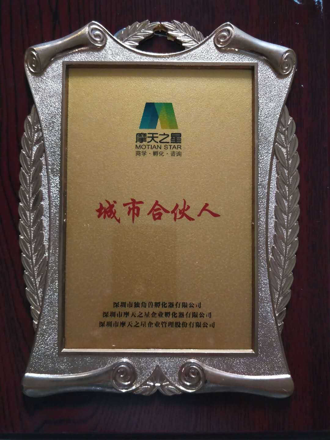 广东城市合伙人怎么做(广东城市合伙人怎么做工作)